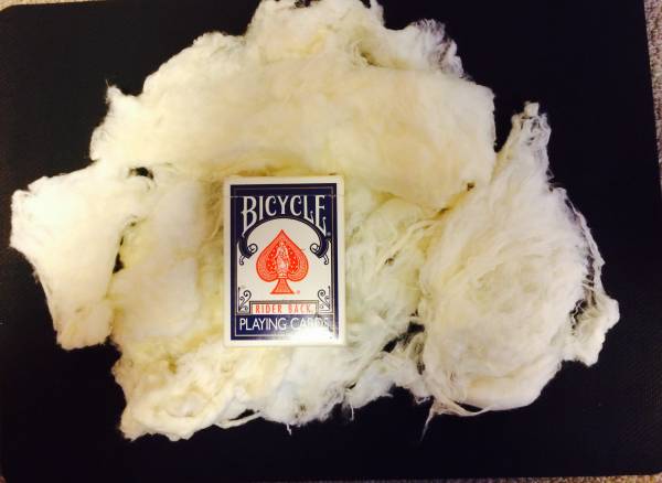 フラッシュコットン 大量　送料無料