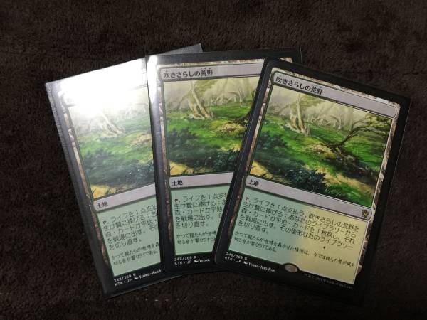 吹きさらしの荒野 3枚セット - mtg メルカリ 日本語版 Heath
