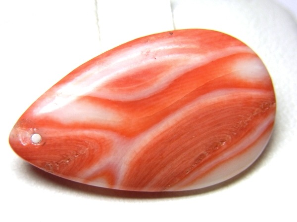 Shimoe]最落無し！1円～2．2g サンゴルース