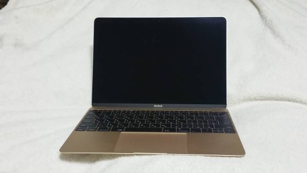 Apple Macbook12インチRetina1.3GHz/RAM8GB/SSD 500GB【美品】 【公式