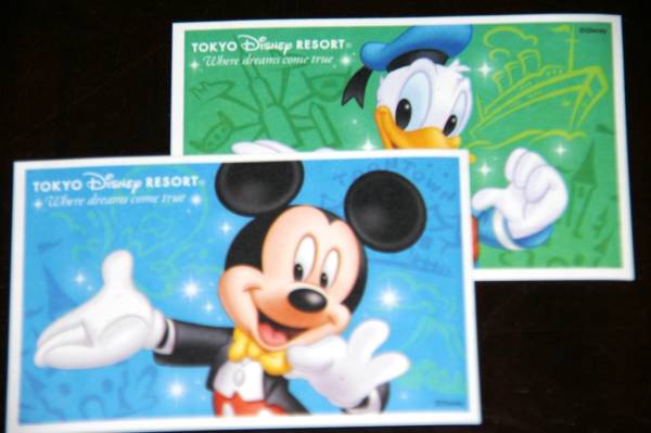 ディズニーランド　スターライトパスポート　ペアー　★送料込み