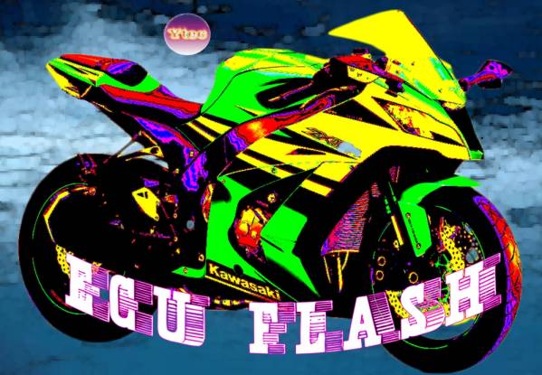 たらさん確認用です。 ZX-10R 2011～ ECU書換 オーダー仕様 2011 ZX10R ECU書き換え＆うふふ