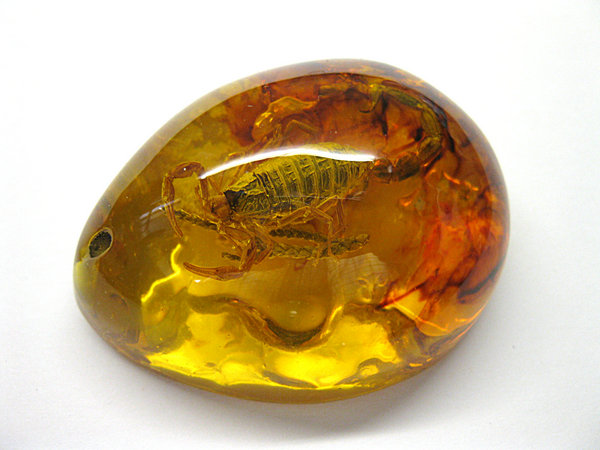 虫入り琥珀*ペンダント(H016)_1