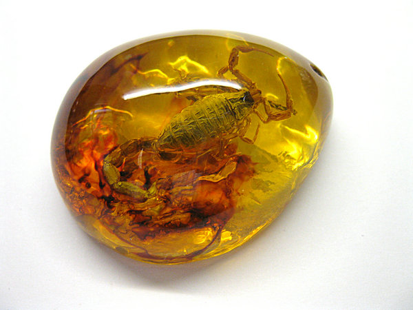 虫入り琥珀*ペンダント(H016)_2