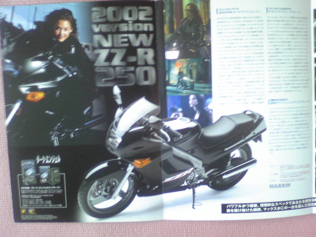 貴重 ZZR250 カタログ EX250H 2002年2月 当時物 ZZ‐R250