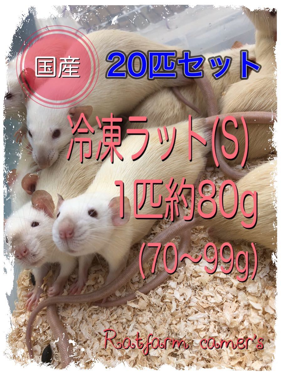 2024 冷凍ラット TN冷凍ラット 30~40g 40匹＋50~60g 30匹 TN冷凍ラット