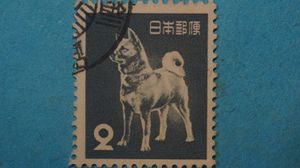 2円 切手 犬のヤフオク の相場 価格を見る ヤフオク の2円 切手 犬のオークション売買情報は56件が掲載されています