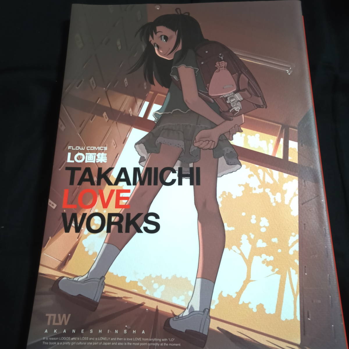 ☆ほぼ美品☆LO画集 TAKAMICHI LOVE WORKS たかみち(イラスト集、原画