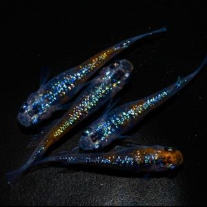 青ラメのヤフオク の相場 価格を見る ヤフオク の青ラメのオークション売買情報は352件が掲載されています