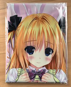 しんたろー 抱き枕カバーのヤフオク の相場 価格を見る ヤフオク のしんたろー 抱き枕カバーのオークション売買情報は件が掲載されています