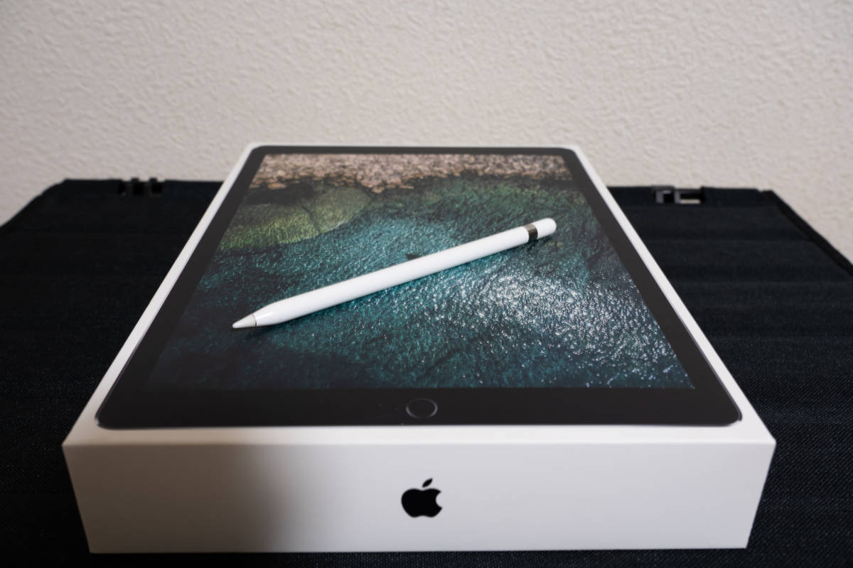 美品 iPad Pro 第2世代 12.9 inch A10XFusion/4GB/64GB Space Gray