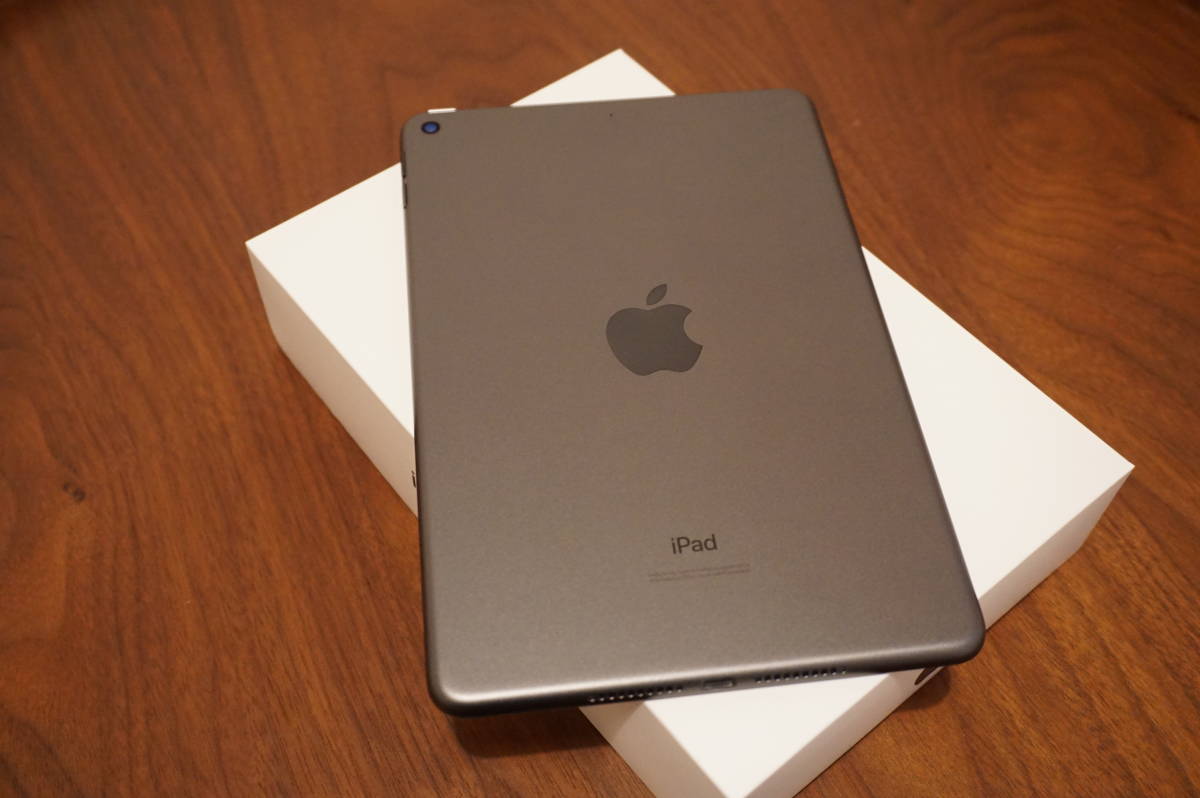 mini スペースグレイ スペースグレイの通販 ipad 0 1 iPad 256GB 第5