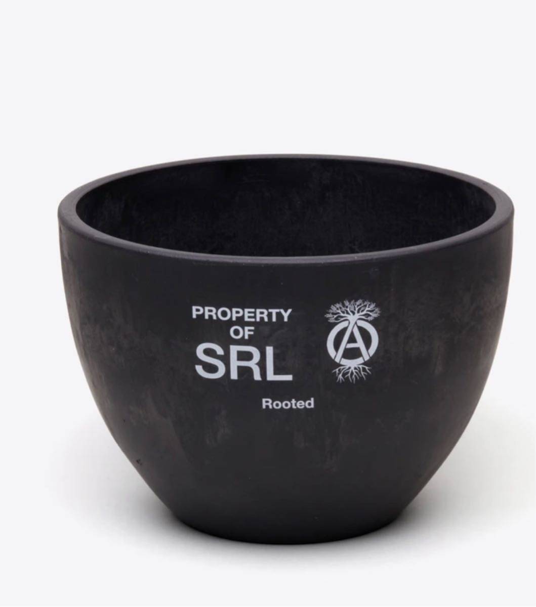 SRL DEN 2S neighborhood 鉢 ネイバーフッド 鉢 伝市 伝市鉢 Sサイズ
