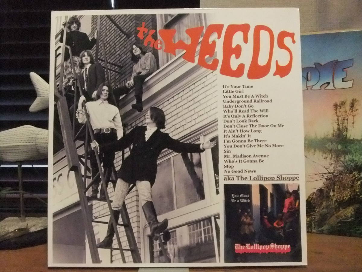 人気，正規品 米 ガレージ サイケ/Lollipop Shoppe The Weeds AKA The Lollipop Shoppe Zipper/The Rats/Dead Moon/Fred Cole(Z)｜売買されたオークション情報、yahooの商品情報をアーカイブ公開 - オークファン Z