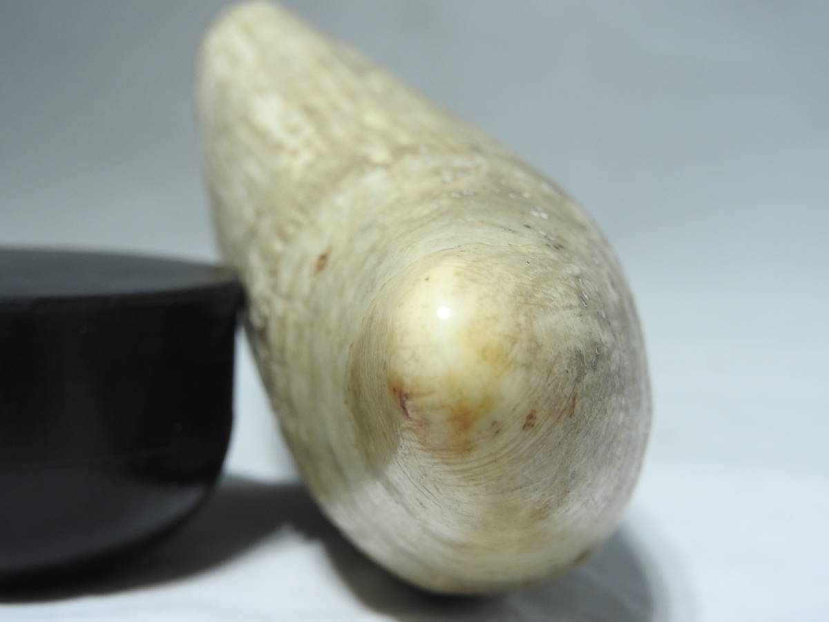 ◇抹香 鯨歯 約357g / 鯨牙 クジラ