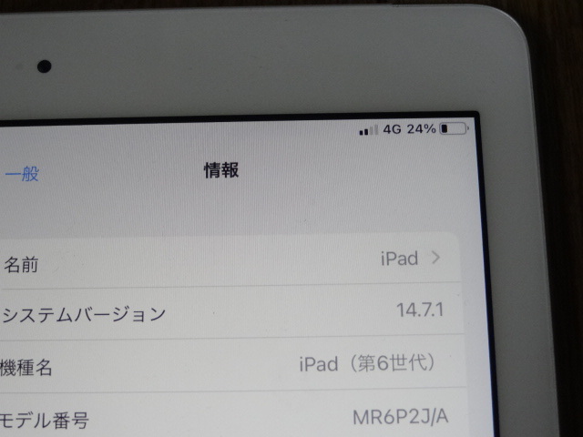 一応中古！SIMロック解除済み 第6世代iPad 32GB 第6世代 iPad iPad