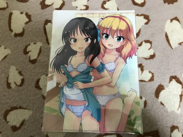 D190クリアファイル アイドルマスター シンデレラガールズ 橘ありす 櫻井桃華 性悪 にしえりあ クリアファイル 売買されたオークション情報 Yahooの商品情報をアーカイブ公開 オークファン Aucfan Com