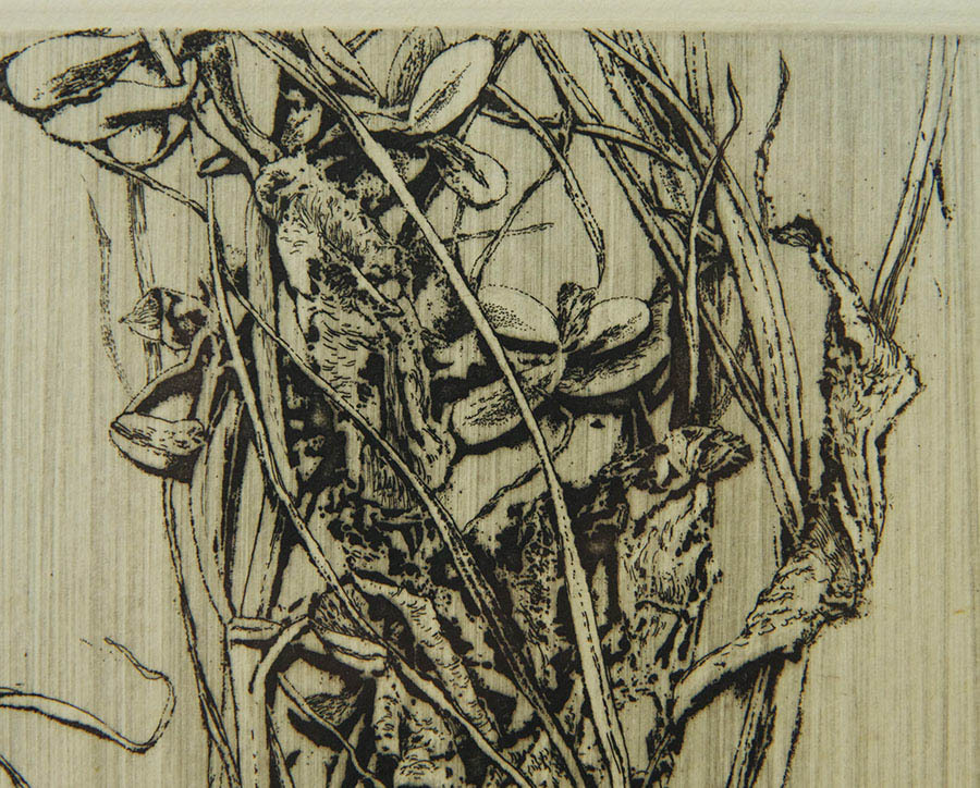 中林忠良 『 Position '83 野Ⅲ 』 銅版画 エッチン ドライポイントグ