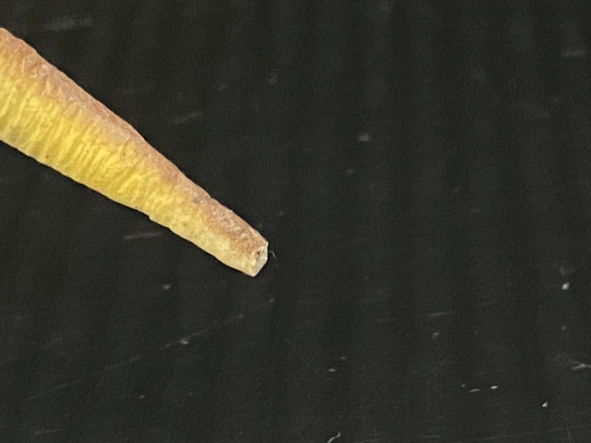 13m5 海洋堂 Kaiyodo Dinoland 1 100scale ランベオサウルス フィギュア 恐竜 レジンキャスト 生き物 売買されたオークション情報 Yahooの商品情報をアーカイブ公開 オークファン Aucfan Com 13m5 海洋堂 Kaiyodo Dinoland 1 100scale ランベオサウルス フィギュア 恐竜 レジンキャスト 生き物 売買されたオークション情報 Yahooの商品情報をアーカイブ公開 オークファン Aucfan Com