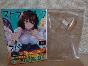 2021/12/9 新刊①　店舗特典別途・本のみ　ストラテジックラバーズ　2巻　初版・帯付　三