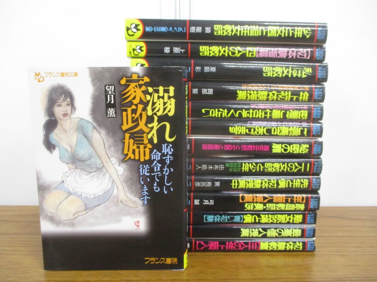 品質保証，安い 01 フランス書院文庫まとめ売り14冊セット/文学/文芸/小説/作品/物語/恋愛小説/官能小説/女性向け/ライトアダルト小説(恋愛小説一般)｜売買されたオークション情報、yahooの商品情報をアーカ 恋愛小説一般