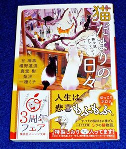 谷瑞恵の値段と価格推移は 162件の売買情報を集計した谷瑞恵の価格や価値の推移データを公開