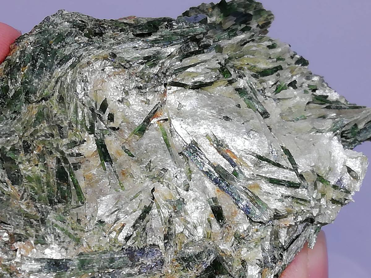 国産鉱物 透緑閃石 Actinolite 愛媛県四国中央市土居町関川 【公式通販】