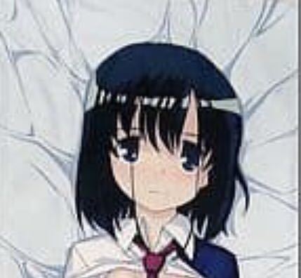 激レア C77 無気力製造工房 咲 Saki ステルスモモ 東横桃子 抱き枕カバー 火浦r 正規品 2wayトリコット 抱き枕 売買されたオークション情報 Yahooの商品情報をアーカイブ公開 オークファン Aucfan Com