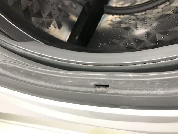 Panasonic 10kg ドラム式洗濯機 NA-VG1000L 配送設置無料 NA-VG1000L