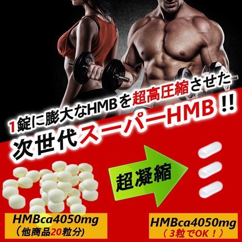 2袋◇27万mg超え！鍛神5袋弱相当のHMB量 業界No.1HMB 内容量 【公式通販】