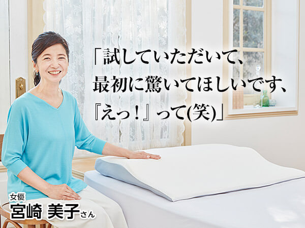 ほとんど未使用品 トゥルースリーパー セブンスピロー シングル 説明書