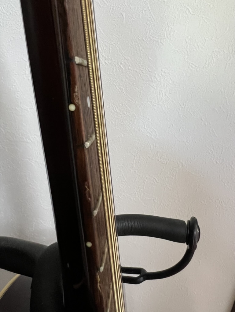 激鳴り☆Stafford _スタッフォード 初期型レア SAD-1000 エレアコ 国産