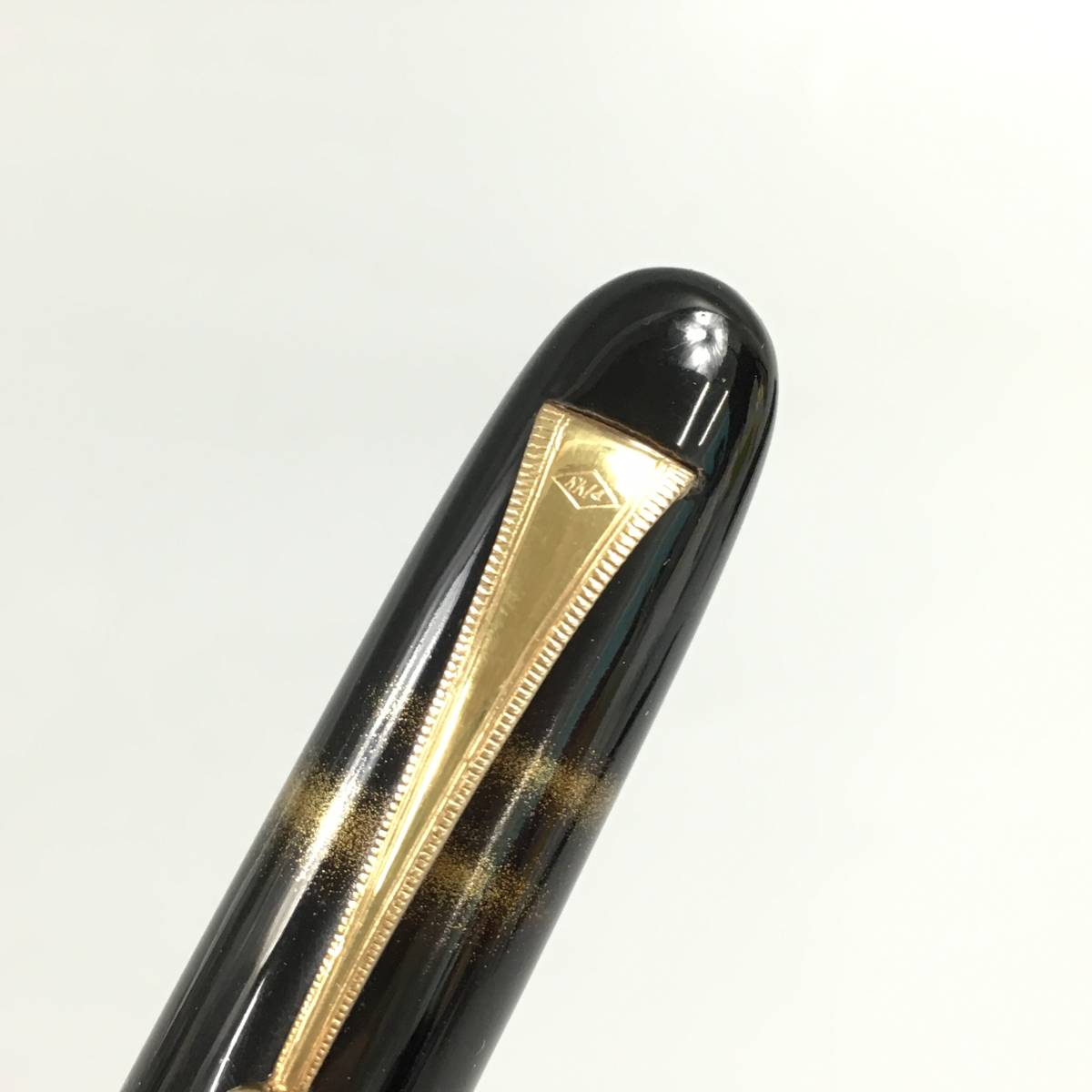 PLATINUM 万年筆 プラチナ万年筆 ペン先 細字 ブラック (プラチナ) 14k 
