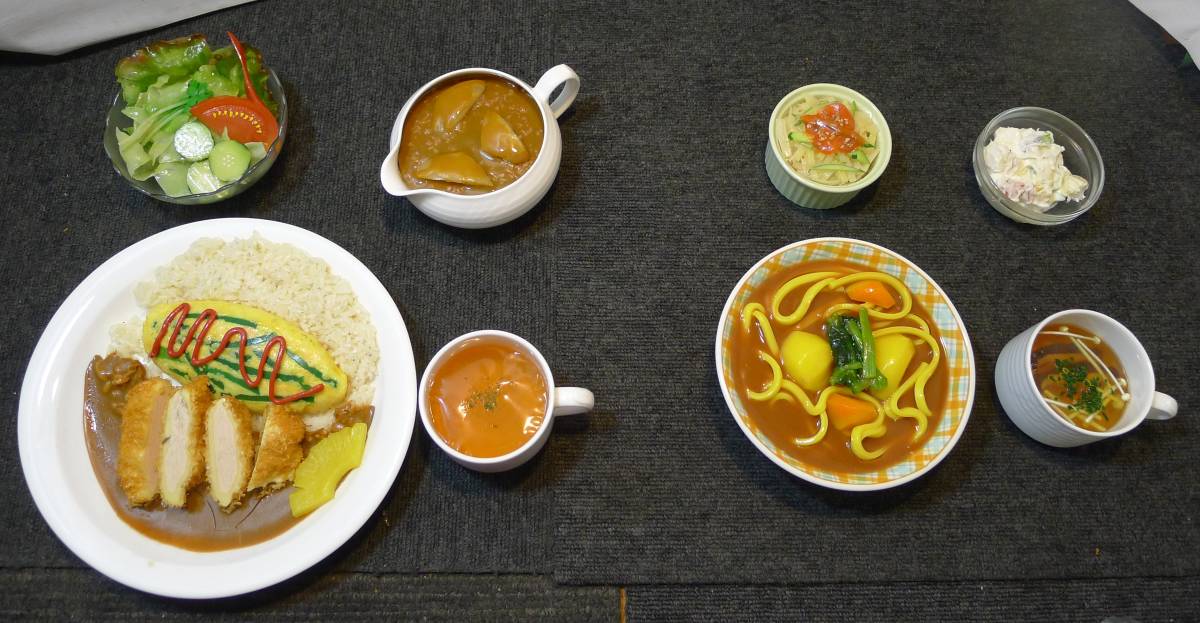 LL487 食品サンプル8点まとめて【カレーうどん,カレーライス(オムレツ 