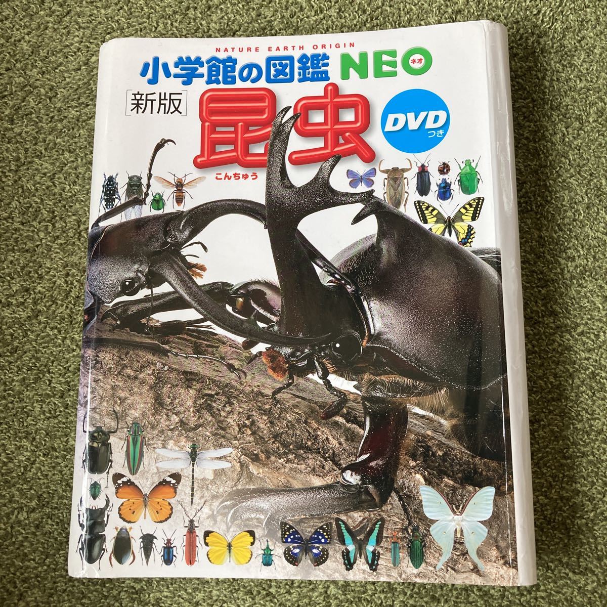 Yahoo 小学館 の 図鑑 neo dvd プレNEO 小学館の図鑑NEO 等 10冊セット