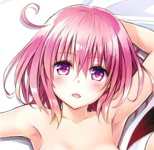 送料無料【To LOVEる -とらぶる-】 抱き枕カバー　新品未開封　同人グッズ