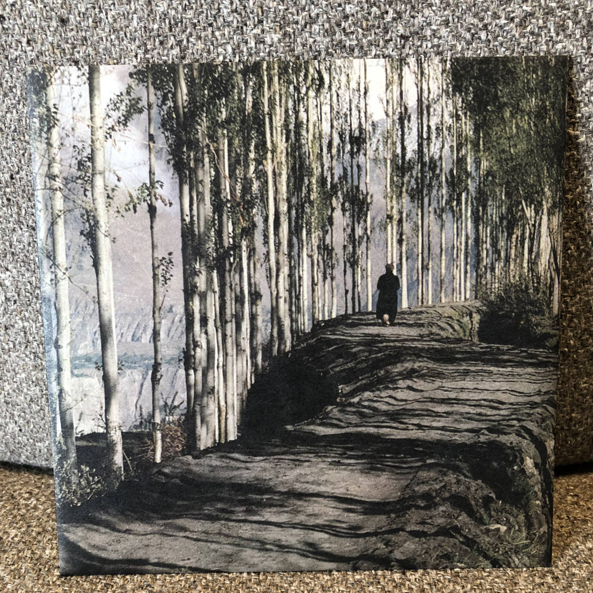 高品質，格安 GUIRO エチカ / 日曜日のチポラ 7インチレコード ギロ 7 inch(インディーズ)｜売買されたオークション情報、yahooの商品情報をアーカイブ公開 - オークファン インディーズ