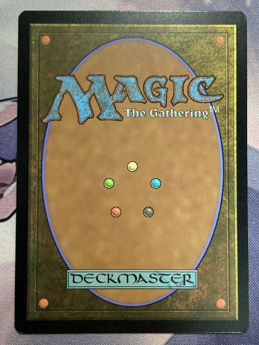 MTG 《霧深い雨林/Misty Rainforest》 MH2 英語 MTG 土地R EXP ZEN 旧