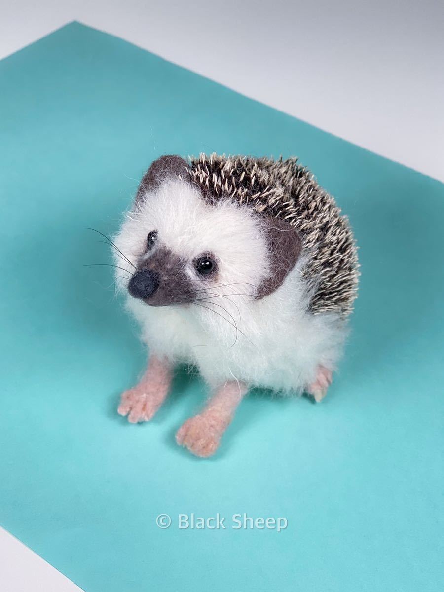 羊毛フェルト ハリネズミ お座りハリネズミ ハンドメイド 手のひらサイズ 羊毛フェルト 売買されたオークション情報 Yahooの商品情報をアーカイブ公開 オークファン Aucfan Com 羊毛フェルト ハリネズミ お座りハリネズミ ハンドメイド 手のひらサイズ 羊毛フェルト 売買されたオークション情報 Yahooの商品情報をアーカイブ公開 オークファン Aucfan Com