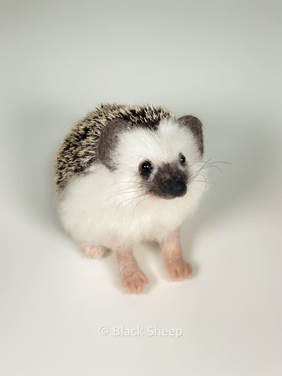 羊毛フェルト ハリネズミ お座りハリネズミ ハンドメイド 手のひらサイズ 羊毛フェルト 売買されたオークション情報 Yahooの商品情報をアーカイブ公開 オークファン Aucfan Com 羊毛フェルト ハリネズミ お座りハリネズミ ハンドメイド 手のひらサイズ 羊毛フェルト 売買されたオークション情報 Yahooの商品情報をアーカイブ公開 オークファン Aucfan Com