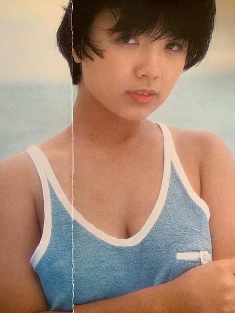 お宝☆榊原郁恵☆水着グラビア☆8P☆切り抜き(タレント)｜売買された