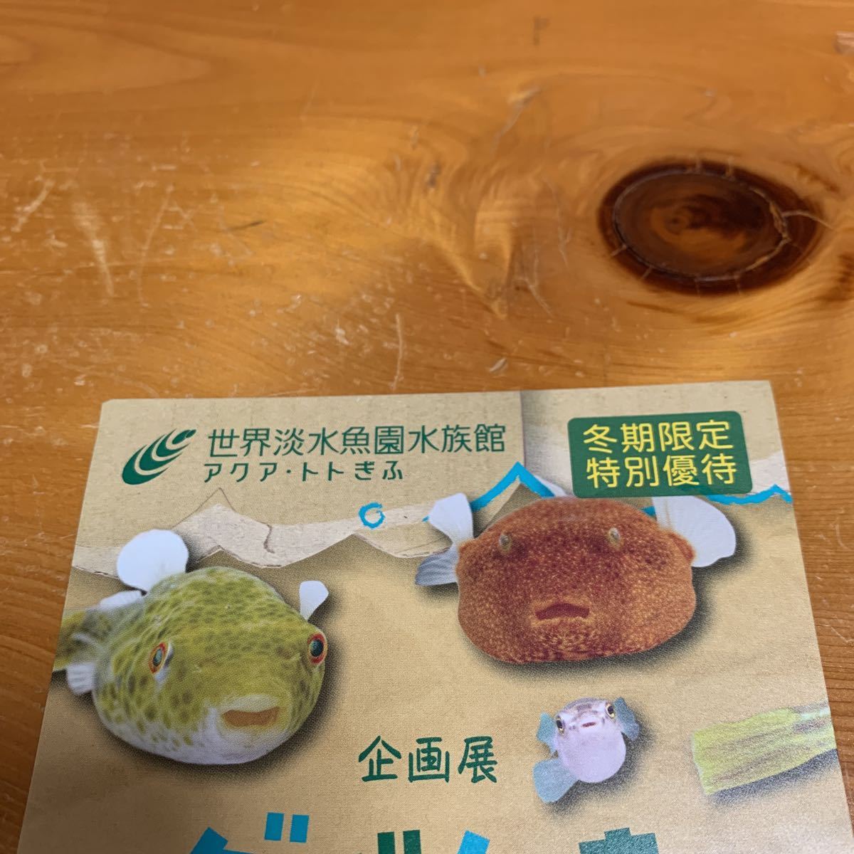 アクア トトぎふ 特別優待券 1枚5名ま 有効期限22年4月10日ま 世界淡水魚園水族館 冬期限定特別優待 非売品 水族館 売買されたオークション情報 Yahooの商品情報をアーカイブ公開 オークファン Aucfan Com アクア トトぎふ 特別優待券 1枚5名ま 有効期限22年4月10日ま 世界淡水魚園水族館 冬期限定特別優待 非売品 水族館 売買されたオークション情報 Yahooの商品情報をアーカイブ公開 オークファン Aucfan Com