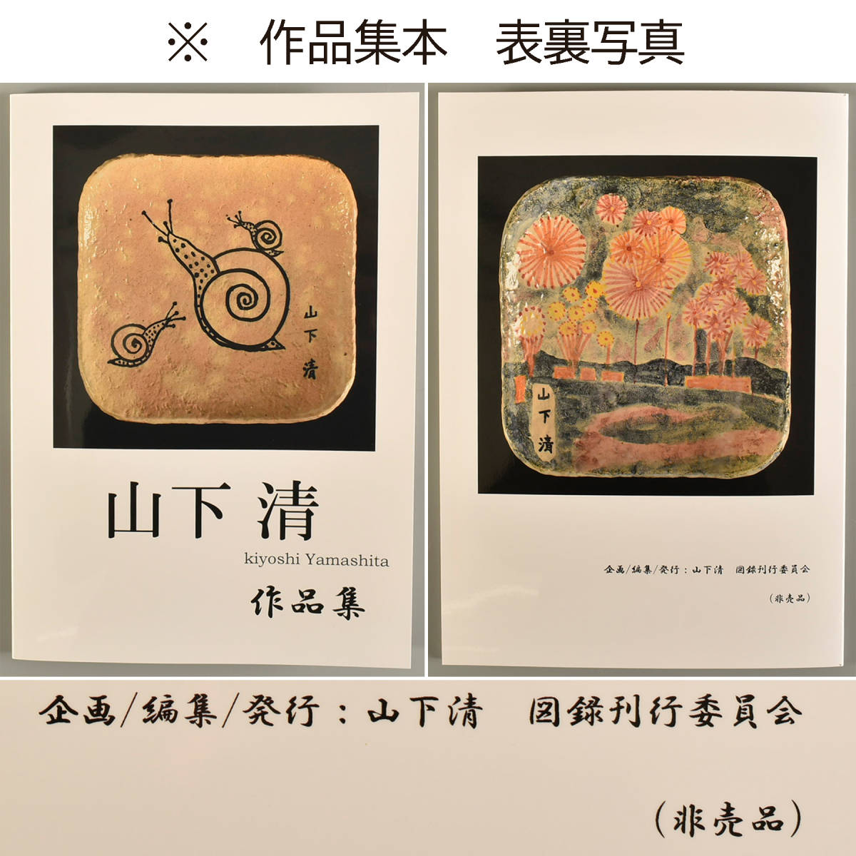 025 山下清 富士山 絵付皿 約948g 書載品本付き／放浪／ 絵 サイン
