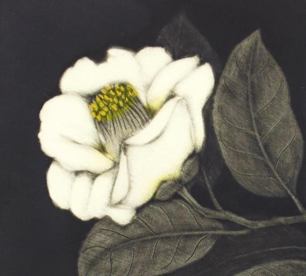 真作】【WISH】小泉淳作「白い椿」銅版画 直筆サイン 〇孤高の画家 MOA 
