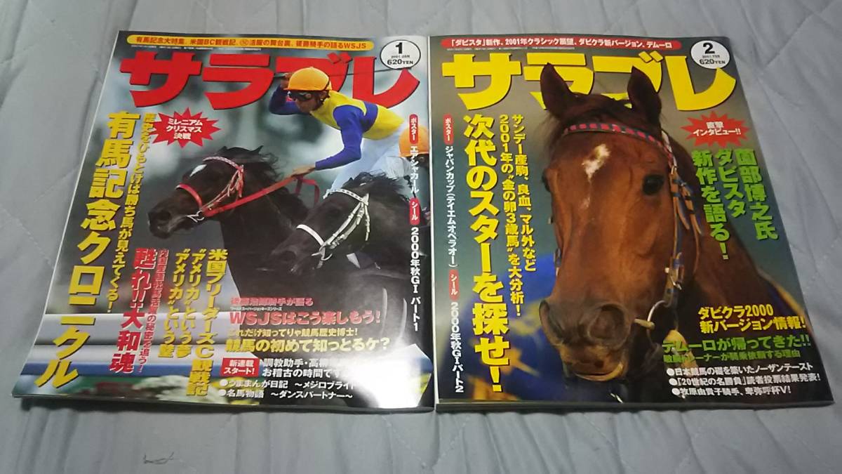 サラブレ抽プレ赤DECADEサラブレッドカード2001下半期エアグルーヴ他