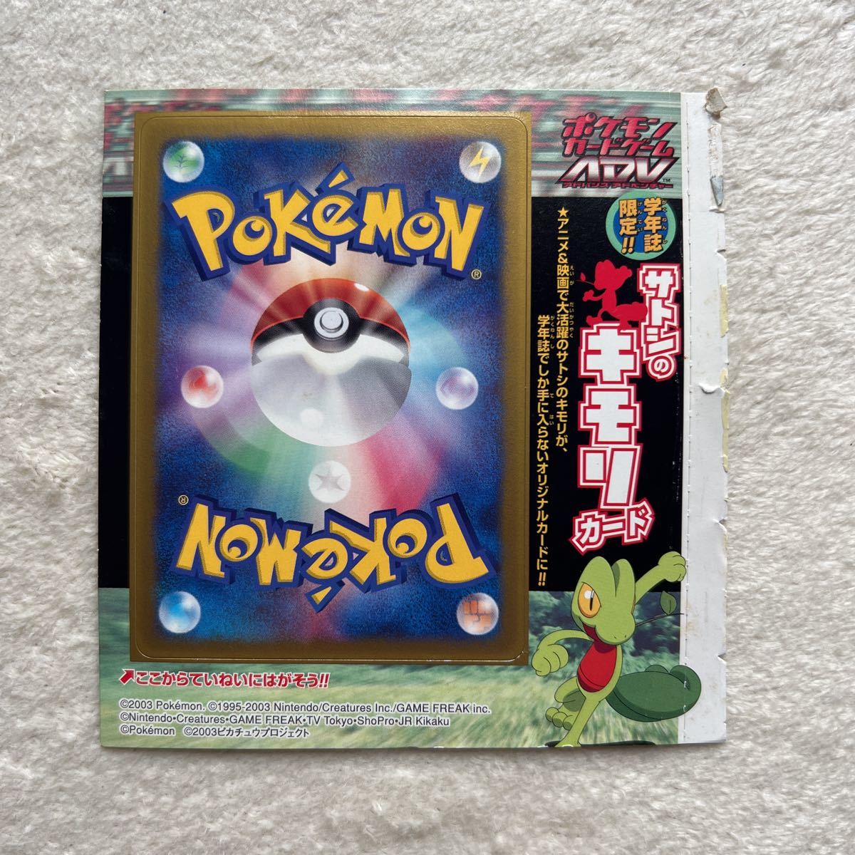 ポケモンカード ADV コロコロ限定プロモ サトシのキモリ タケシの 