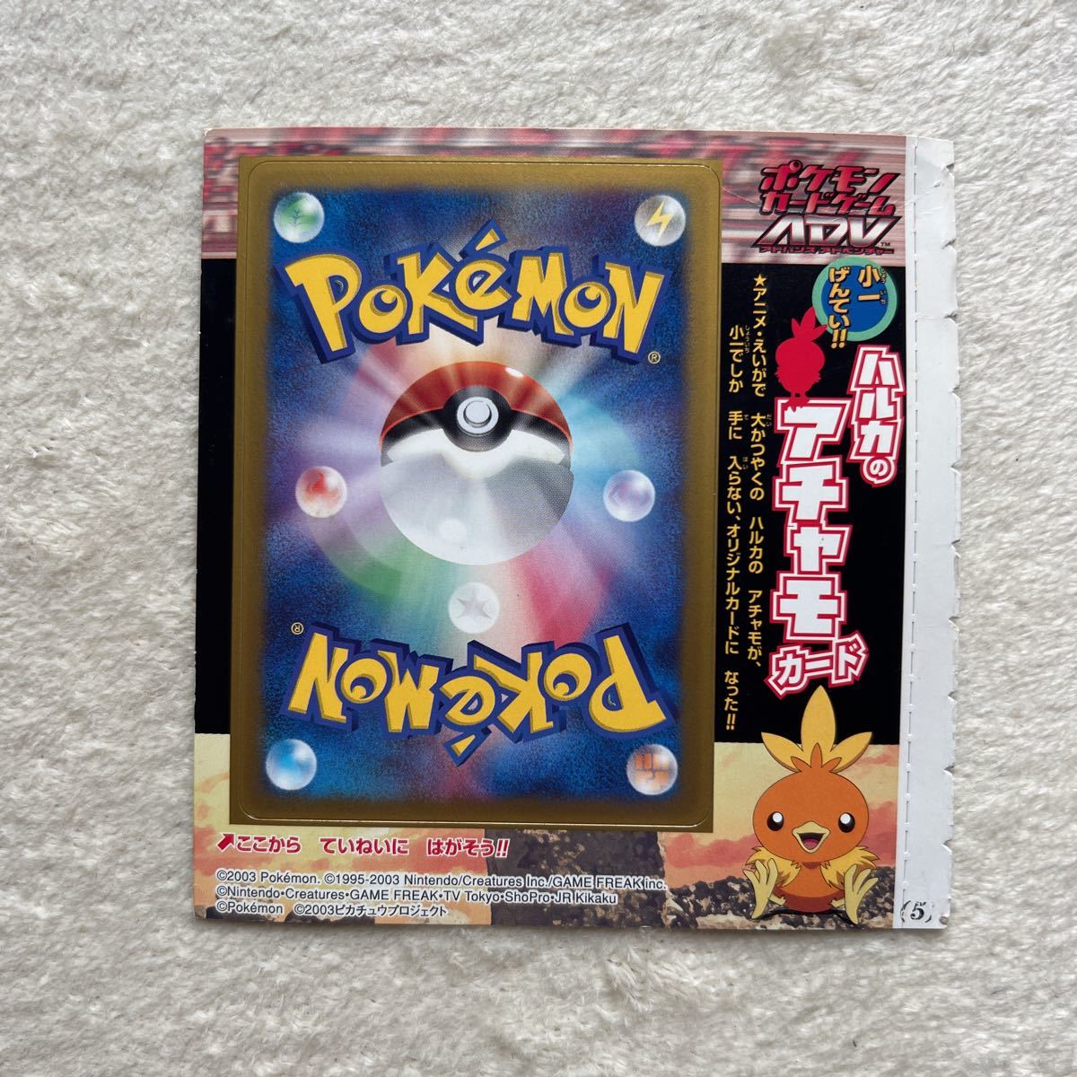 ポケモンカード ADV コロコロ限定プロモ サトシのキモリ タケシの 