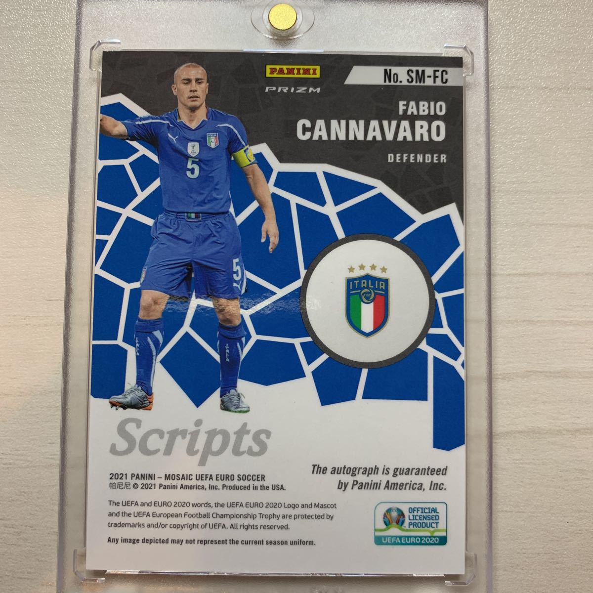 Panini mosaic Fabio cannavaro AZZURRI Auto 直筆サイン カンナバーロ