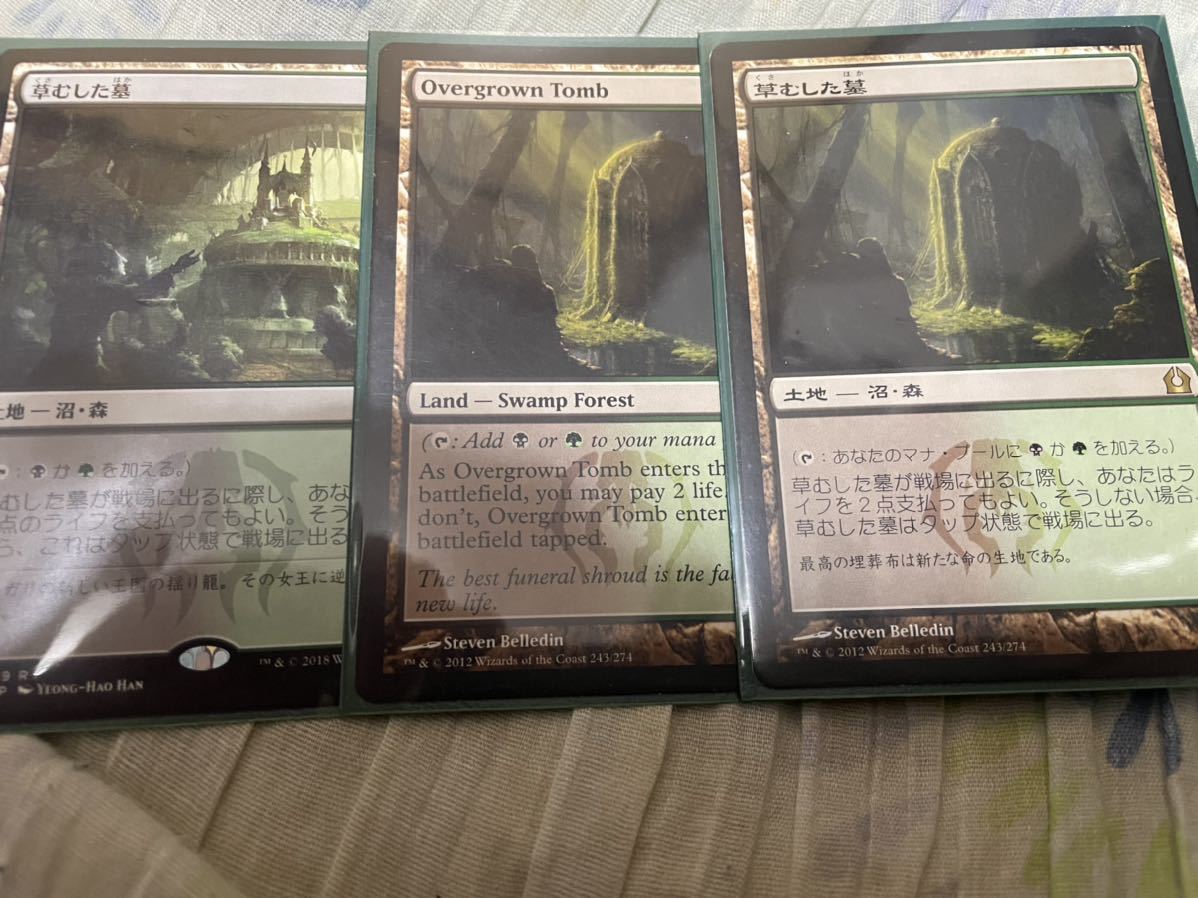 草むした墓 MTG ⁄ Tomb 英語版 ボーダーレスfoil 英語 MtG: | (CLU) -