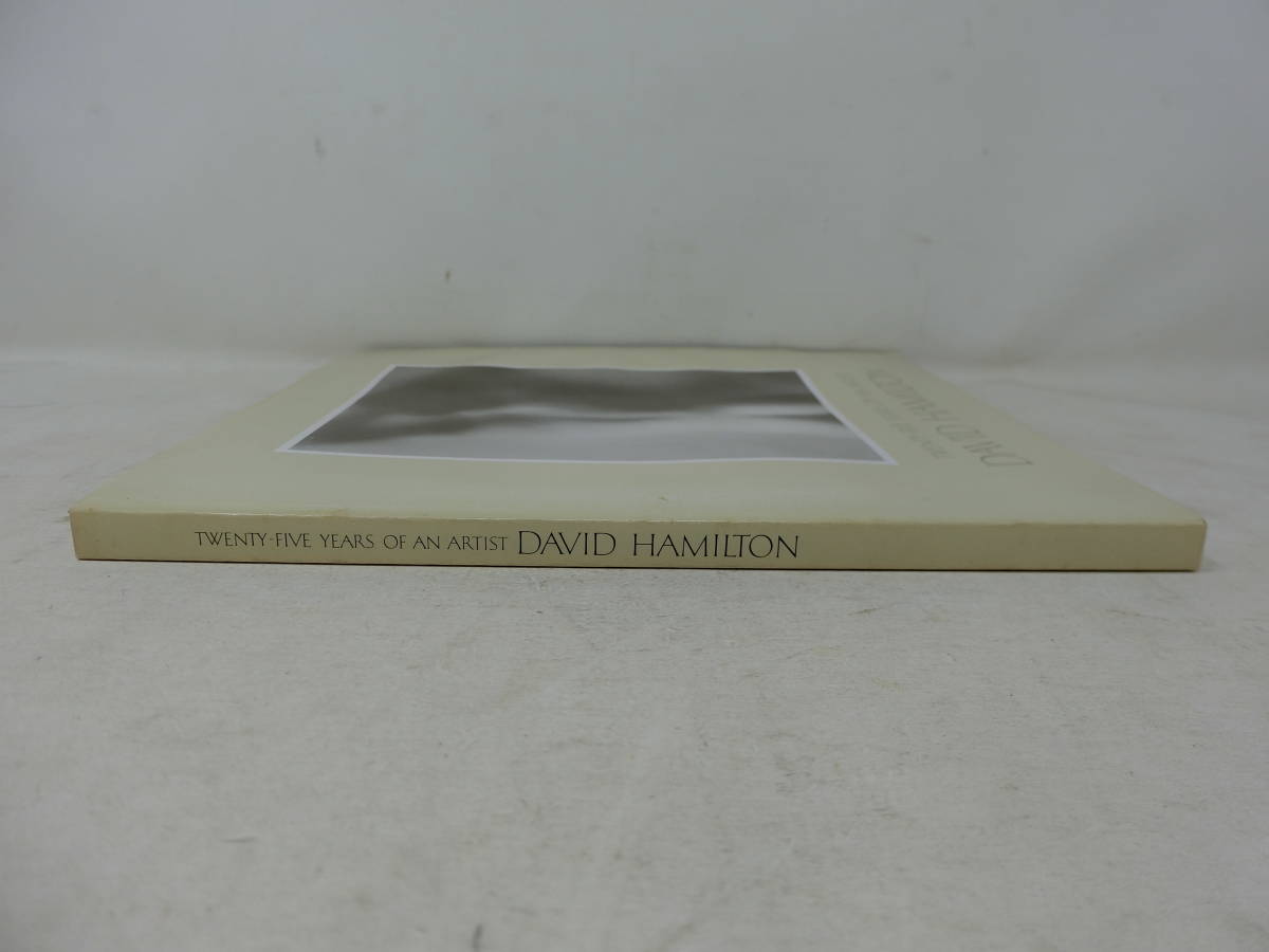 an of アーティストの25年 Twenty Five Years デビッド Artist